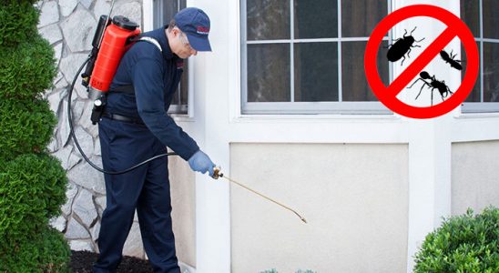 Yenimahalle Fare İlaçlama böcek ilaçlama ve haşere kontrolü — ilaclama-tr.com